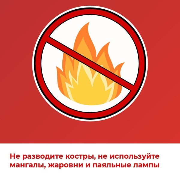 Бологовский колледж