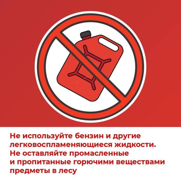 Бологовский колледж