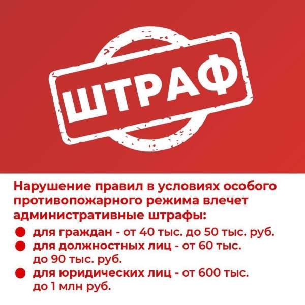 Бологовский колледж