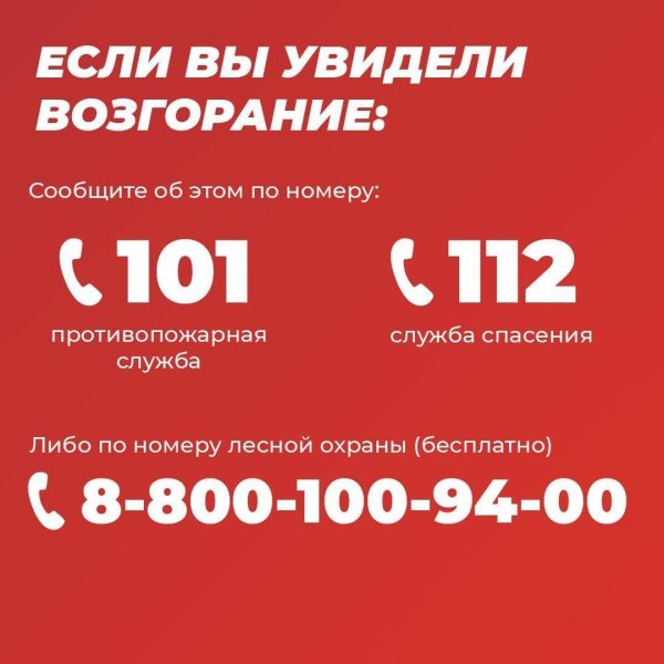 Бологовский колледж