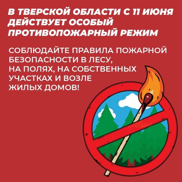 Бологовский колледж