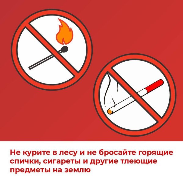 Бологовский колледж