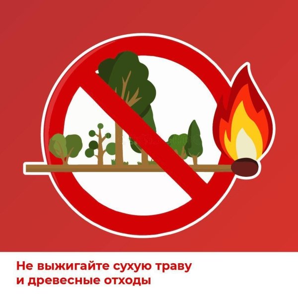 Бологовский колледж