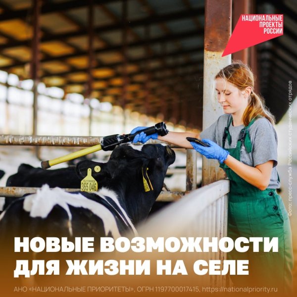 Бологовский колледж