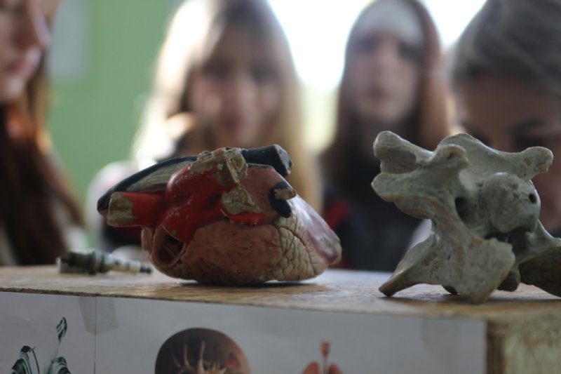Бологовский колледж