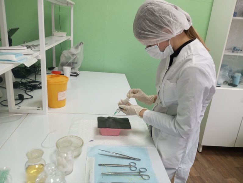 Бологовский колледж