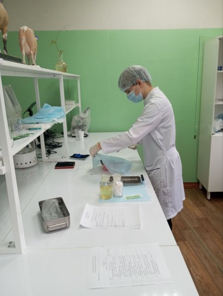 Бологовский колледж