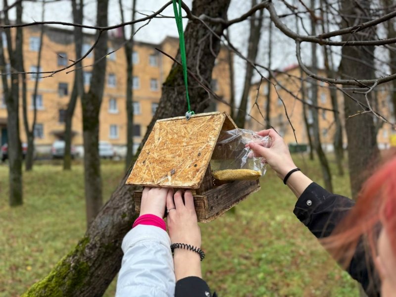 Бологовский колледж