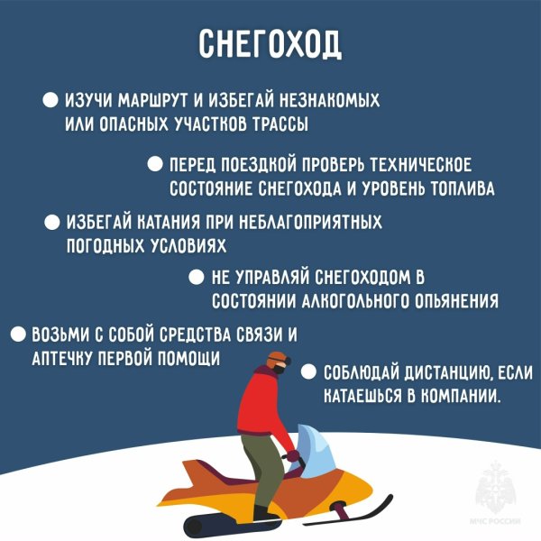 Бологовский колледж