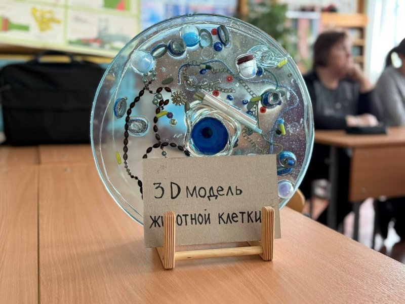 Бологовский колледж