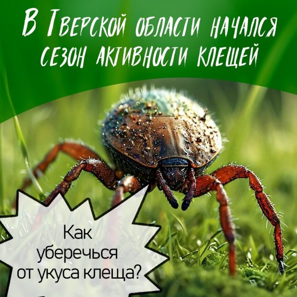 Бологовский колледж