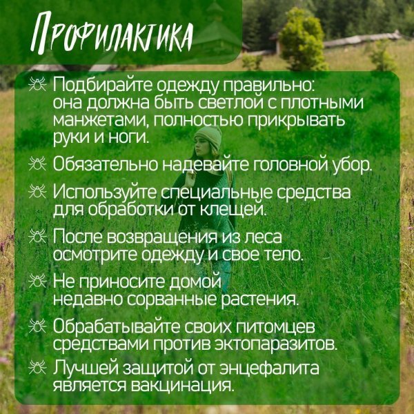 Бологовский колледж