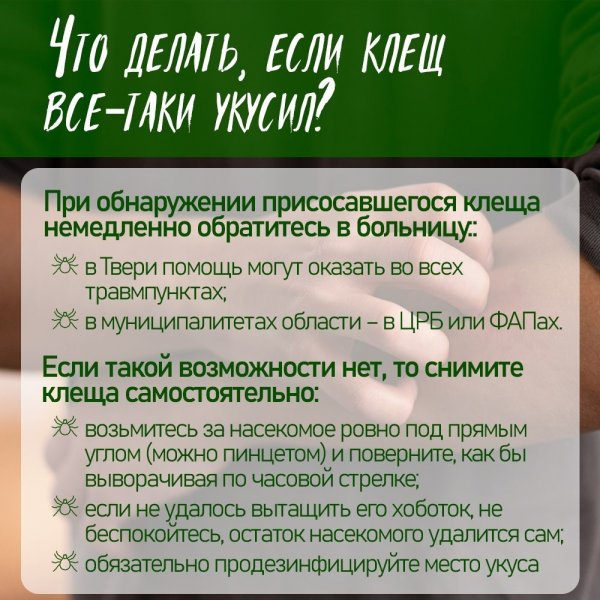 Бологовский колледж