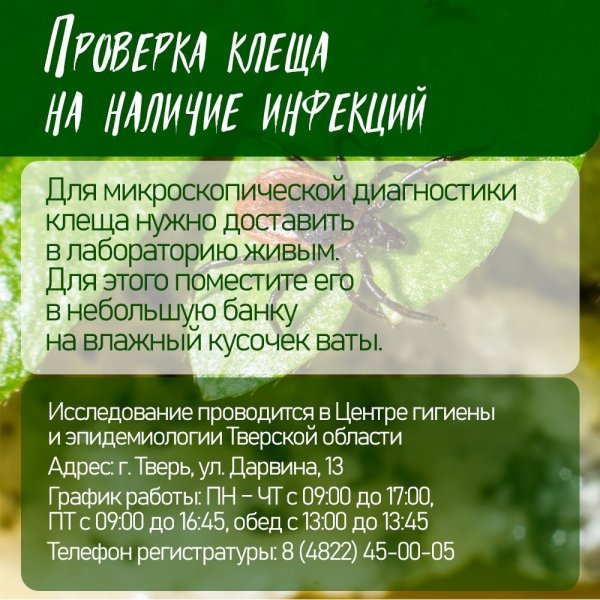 Бологовский колледж