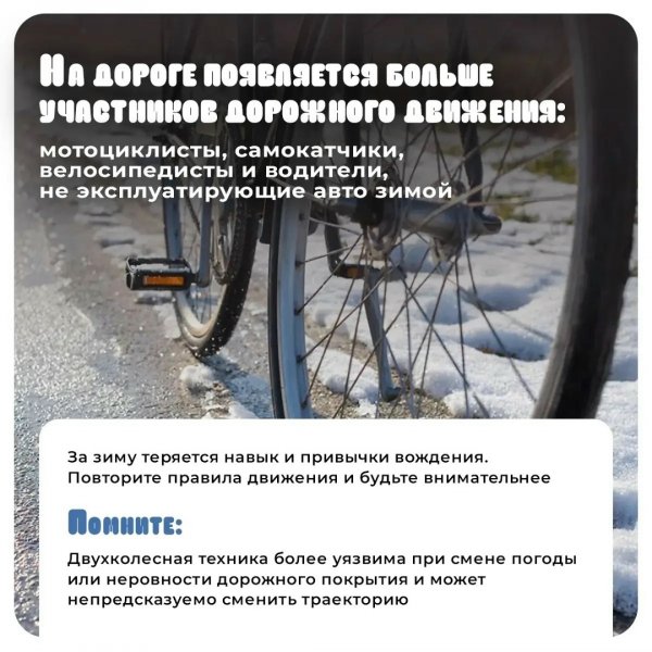 Бологовский колледж
