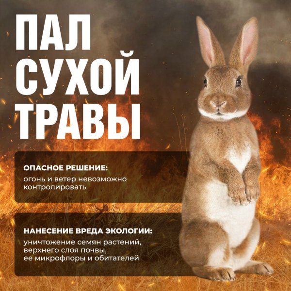 Бологовский колледж
