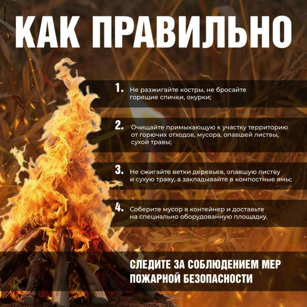 Бологовский колледж