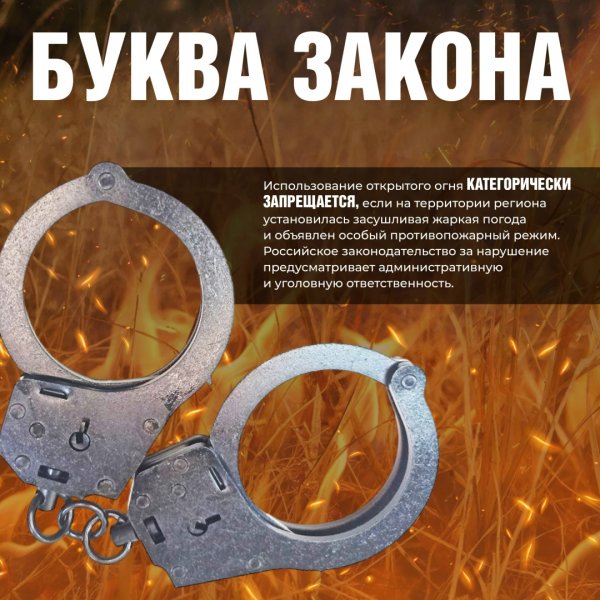 Бологовский колледж