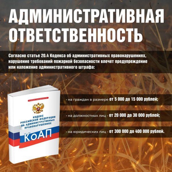 Бологовский колледж