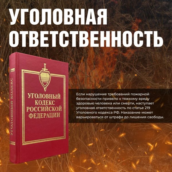 Бологовский колледж