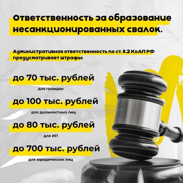 Бологовский колледж