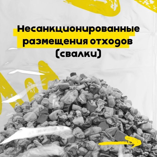 Бологовский колледж