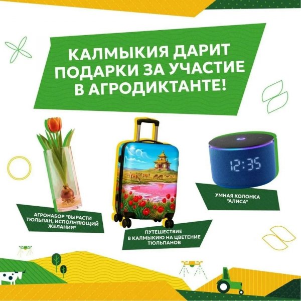 Бологовский колледж