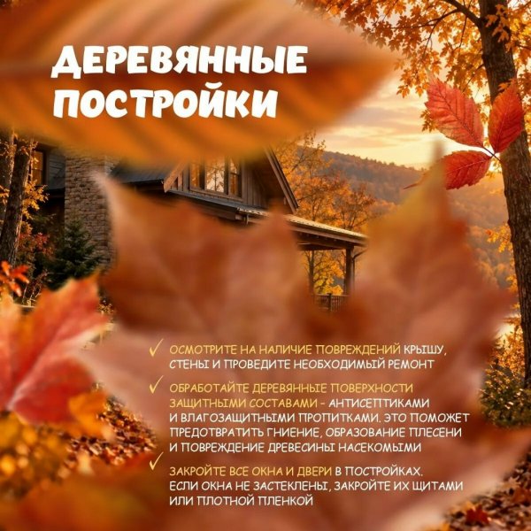 Бологовский колледж