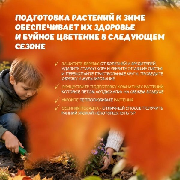Бологовский колледж