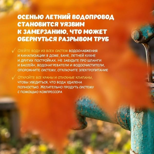 Бологовский колледж