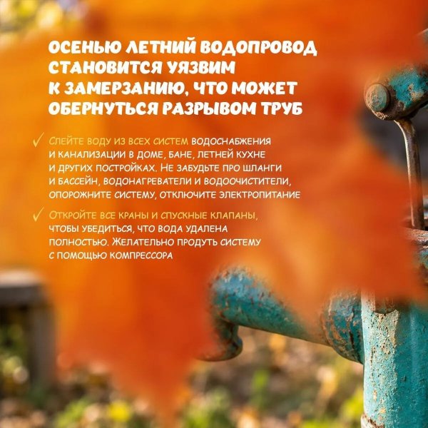 Бологовский колледж