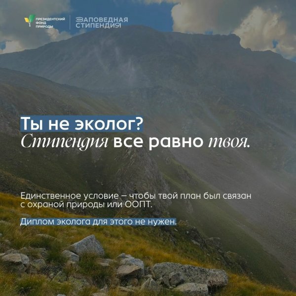 Бологовский колледж