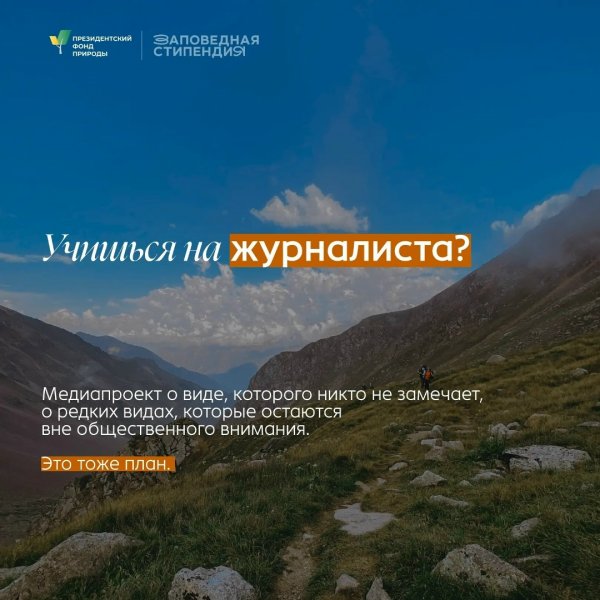 Бологовский колледж