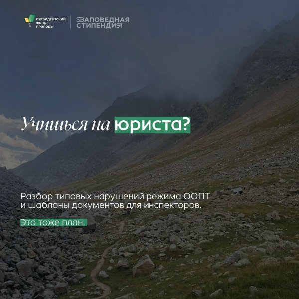 Бологовский колледж
