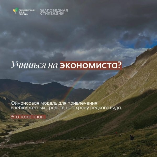 Бологовский колледж