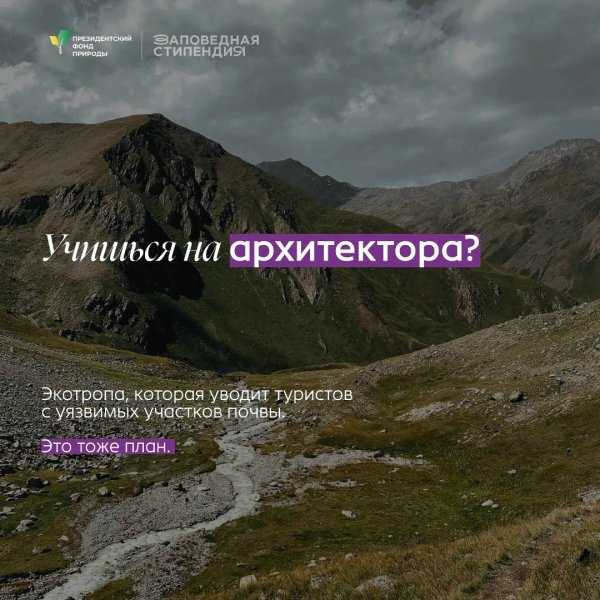 Бологовский колледж