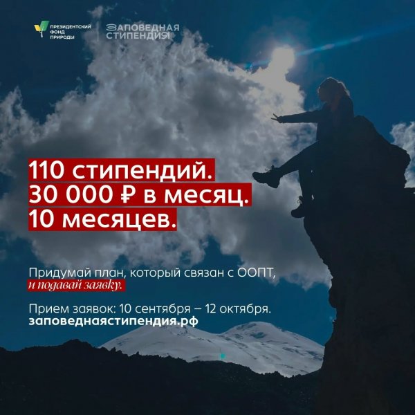 Бологовский колледж
